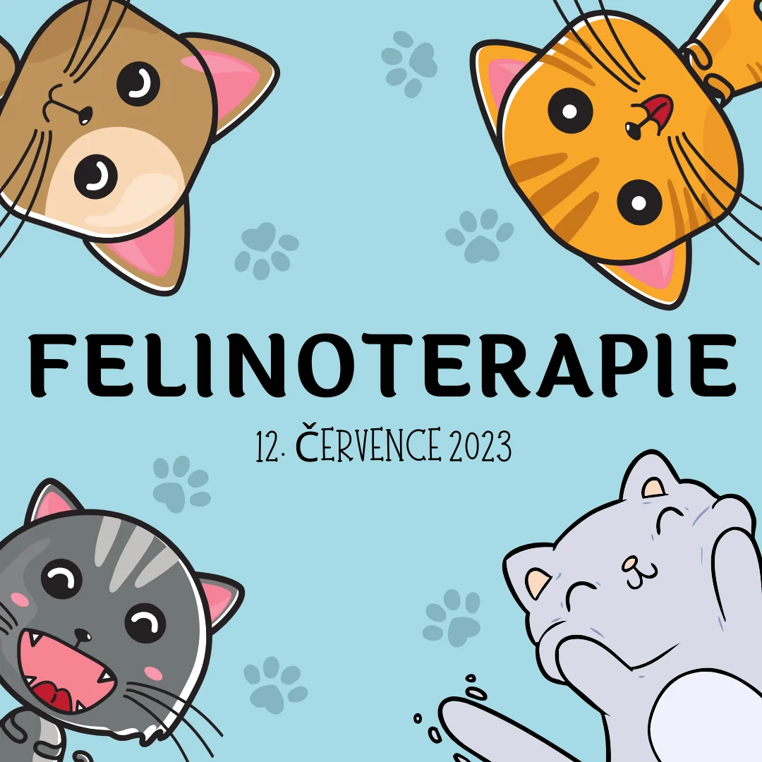 Setkávání rodin - felinoterapie